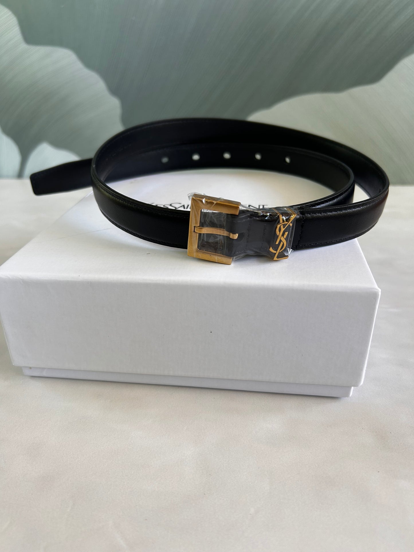 Faja YSL
